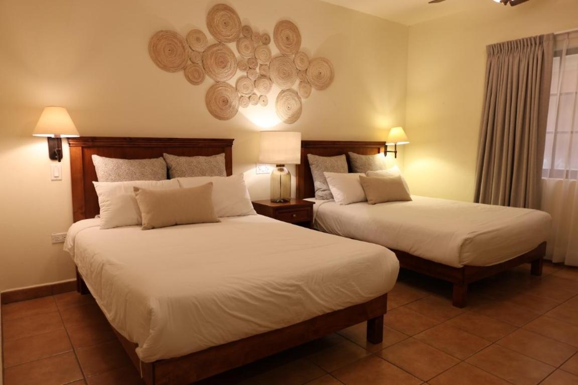 Hotel Colli San José del Cabo 外观 照片